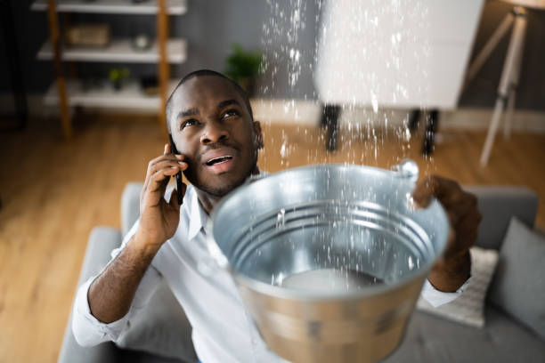 Best Carpet water damage restoration  in Fellsburg, PA