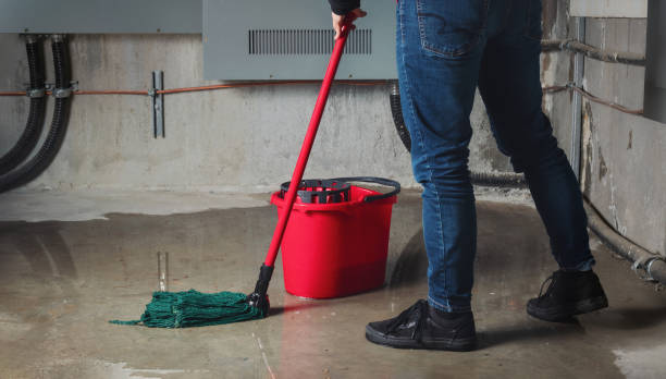 Best Professional water damage repair  in Fellsburg, PA